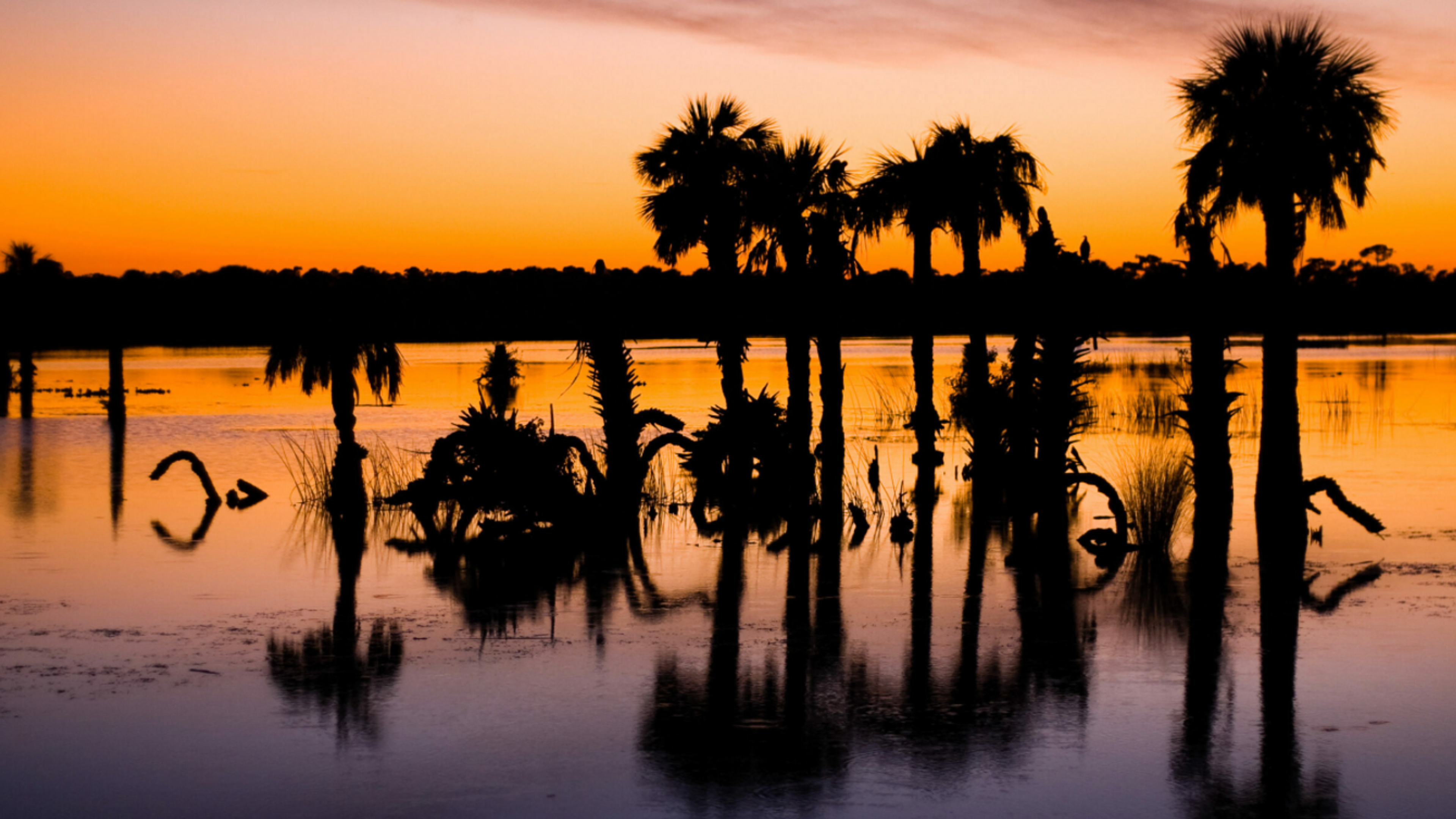 Florida Channel